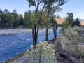 Durango KOA - Animas River