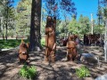 Durango KOA - Welcome Bears