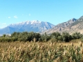 View from the Springville / Provo KOA Journey near Provo, Utah