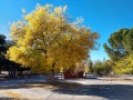 Silent Valley Club - Fall Colors