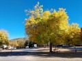 Silent Valley Club - Fall Colors