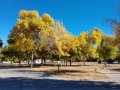 Silent Valley Club - Fall Colors