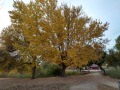 Silent Valley Club - Fall Colors