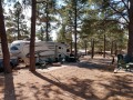 Williams KOA - RV Sites