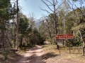 Great Sand Dunes - Primitive Road - Medano Pass Entrance