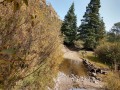 Great Sand Dunes - Primitive Road