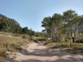 Great Sand Dunes - Primitive Road