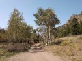 Great Sand Dunes - Primitive Road