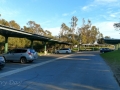 Guajome Regional Park - Parking Lot