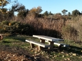 Guajome Regional Park - Picnic Area