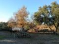 Guajome Regional Park - Picnic Area