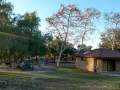 Guajome Regional Park - Picnic Area