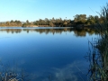 Guajome Regional Park - Fishing Pond