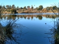 Guajome Regional Park - Fishing Pond