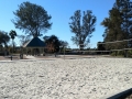 Guajome Regional Park - Volleyball