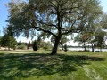 Heyburn Riverside RV Park - River Walk