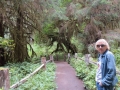 Kim at the Hoh Rainforest Hall of Mosses