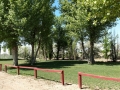 Holbrook KOA - Tent Sites