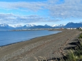 Heritage RV Pk - Kachemak Bay Beach  View