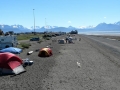 Beachfront Tent Camping on the Homer Spit