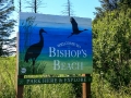 Homer - Bishop's Beach