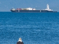 Bald Eagle and Ship