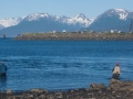 Fishermen at Kachemak Bay