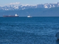 Fishermen at Kachemak Bay