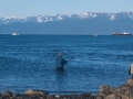 Fishermen at Kachemak Bay