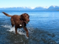 Jasmine playing on beach at Kachemak Bay