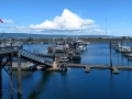 Homer Spit Marina