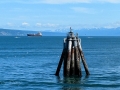 Homer Spit -Pilings