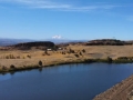 Horsethief Lake