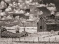 Barn and Collapsed Silo - Lucas, Iowa