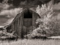 Old Barn - Lucas, Iowa