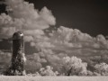 Woodvine and Silo - New Virginia, Iowa