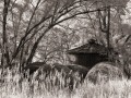 Silo Study #4 (b/w) - Lucas, Iowa