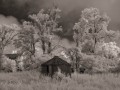 Silo Study #1 (b/w) - Lucas, Iowa