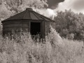 Silo Study #3 (b/w) - Lucas, Iowa