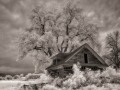 Old Homestead - Millerton, Iowa