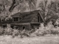 Old Homestead #2 - Millerton, Iowa