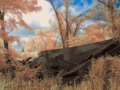 Collapsed Shed - Lucas, Iowa