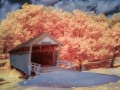 Cutler-Donahoe Covered Bridge - Madison County - Winterset, Iowa