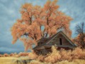 Old Homestead - Millerton, Iowa