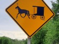Horsedrawn Vehicles - Amish Country - Lucas, Iowa
