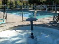 Jellystone Park - Swimming Pool