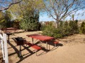 Kingman KOA - Tent Sites