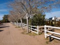 Kingman KOA - Tent Sites