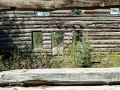 Klondike Highway - Historic Montague Roadhouse