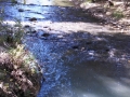 Creek behind Barbie & Gary's home at Sisters, Oregon